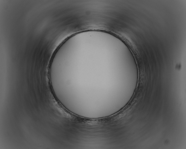 X0000091061182200708271149