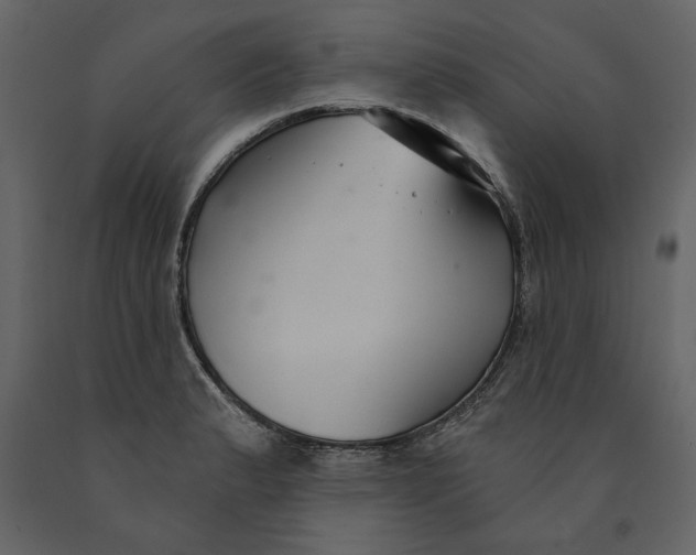 X0000091061183200708271149