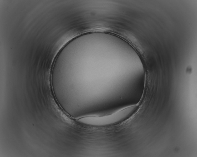 X0000091061186200708271149