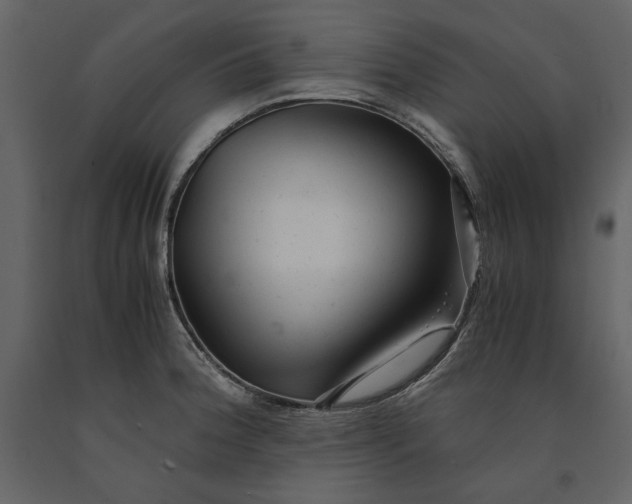 X0000091061188200708271149