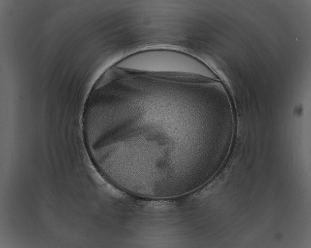 X0000091061189200708271149