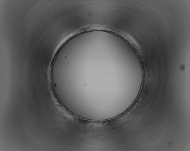 X0000091061190200708271149