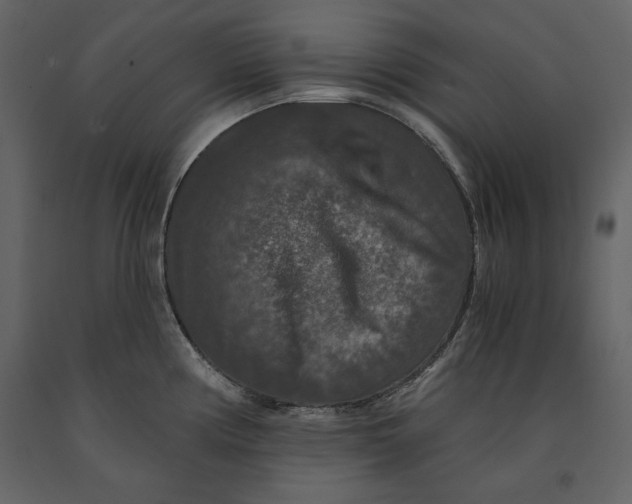 X0000091061194200708271149