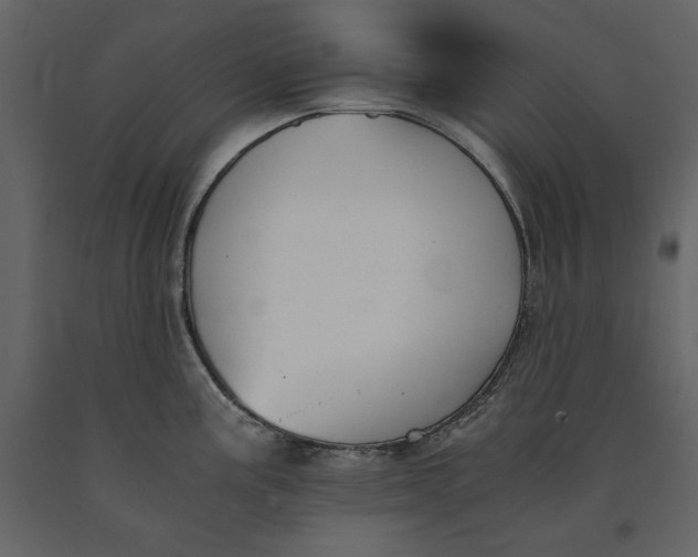 X0000091061195200708271149
