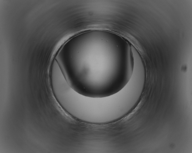 X0000091061196200708271149