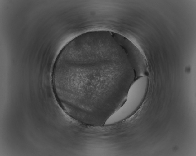 X0000091061197200708271149