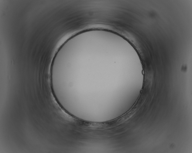 X0000091061199200708271149