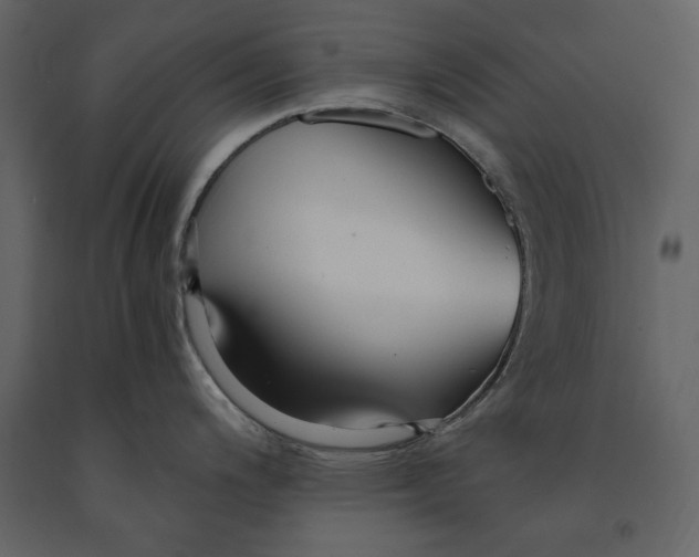 X0000091061200200708271149