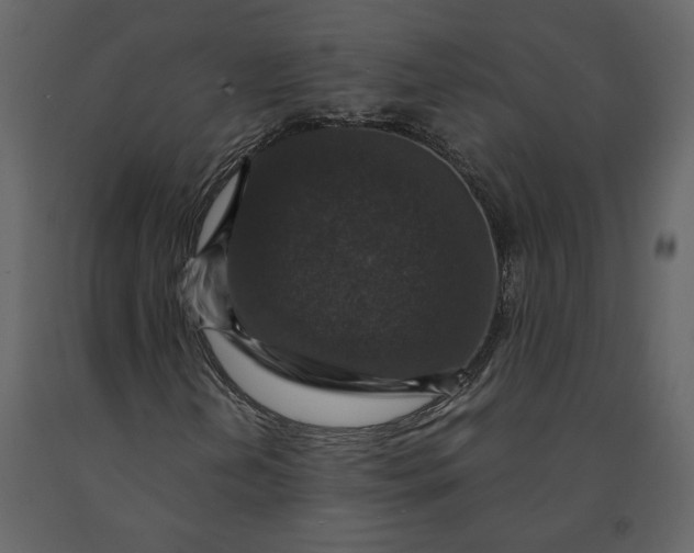 X0000091061202200708271149