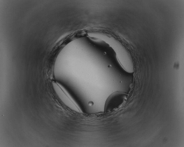X0000091061206200708271149