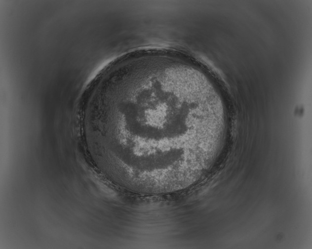 X0000091061208200708271149