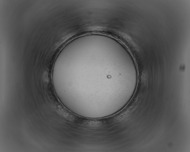 X0000091061209200708271149
