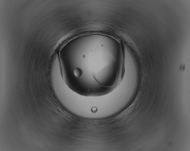 X0000091061210200708271149