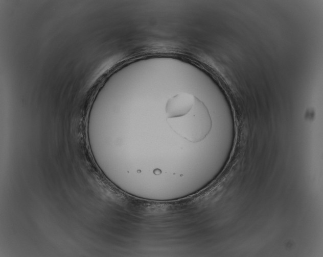 X0000091061211200708271149