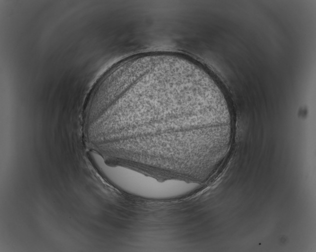 X0000091061212200708271149