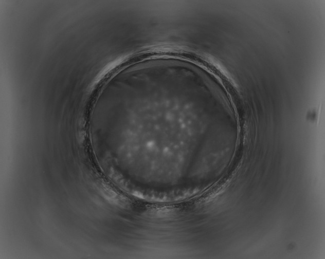 X0000091061213200708271149