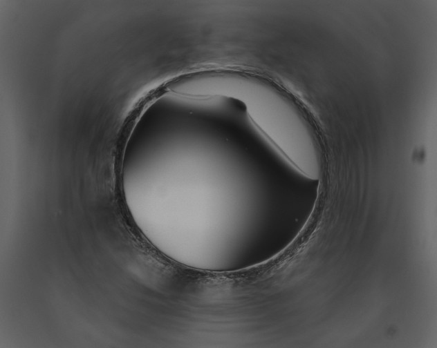 X0000091061214200708271149