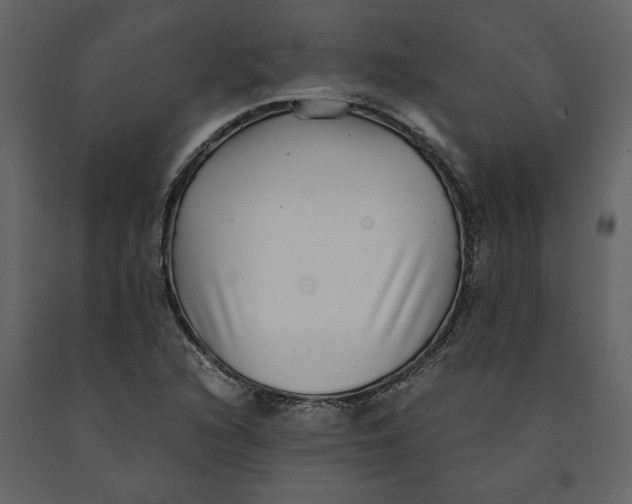 X0000091061216200708271149