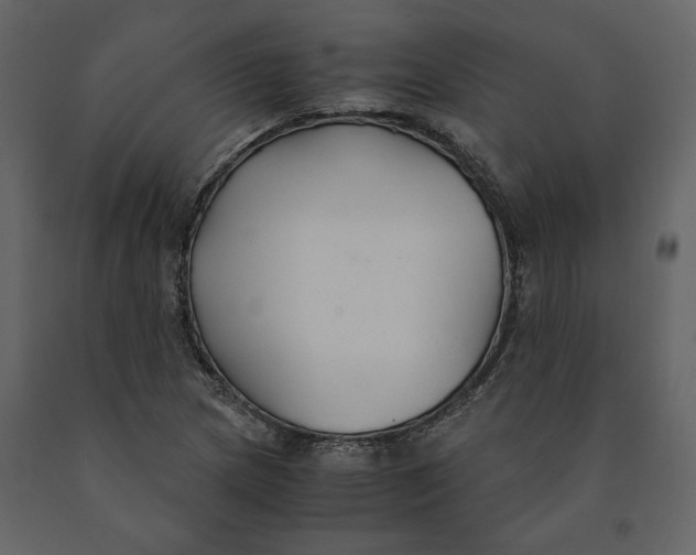 X0000091061217200708271149