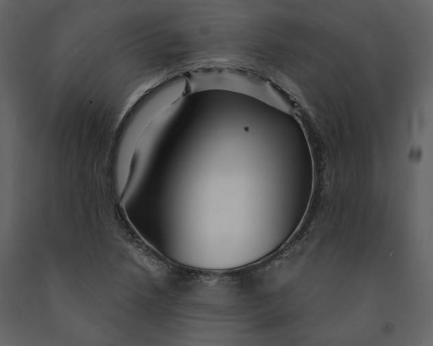 X0000091061218200708271149