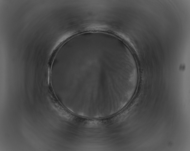 X0000091061219200708271149