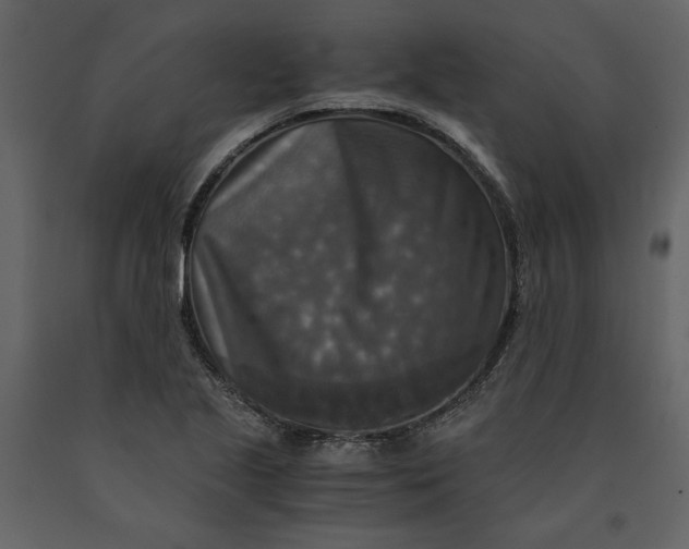X0000091061221200708271149