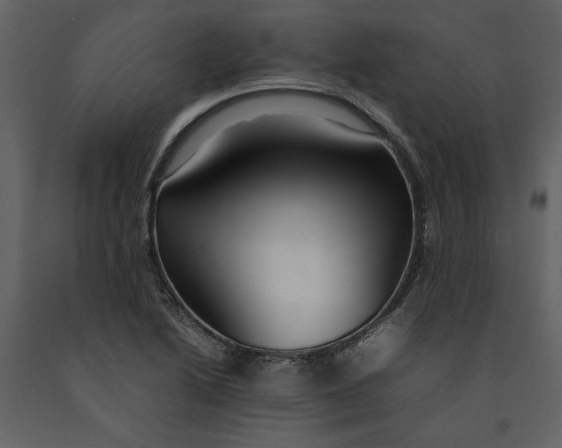 X0000091061222200708271149
