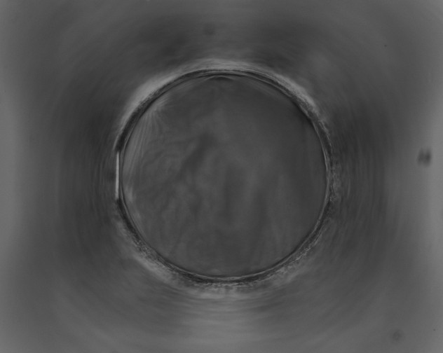 X0000091061223200708271149