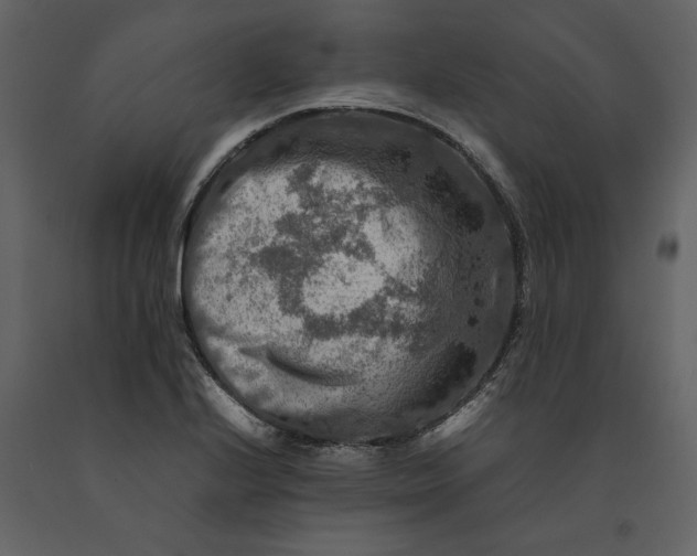 X0000091061224200708271149