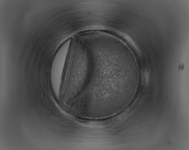 X0000091061225200708271149