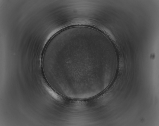 X0000091061226200708271149