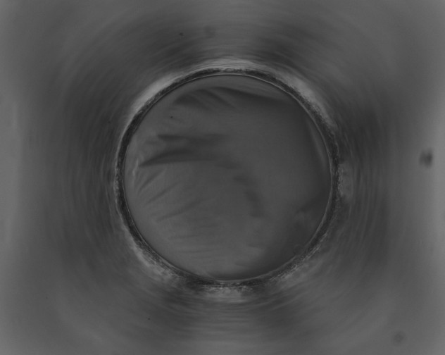 X0000091061229200708271149