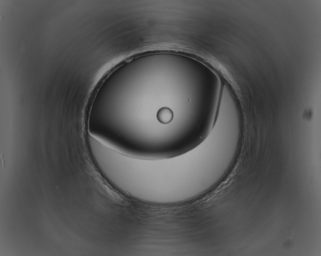 X0000091061230200708271149
