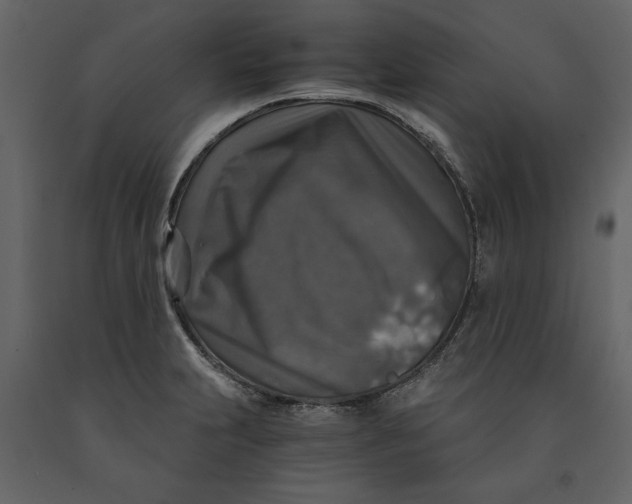 X0000091061231200708271149
