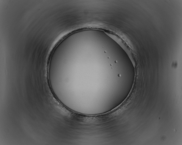 X0000091061232200708271149