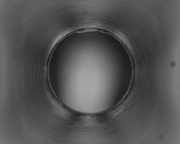 X0000091061234200708271149