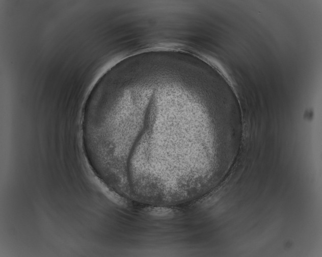 X0000091061235200708271149