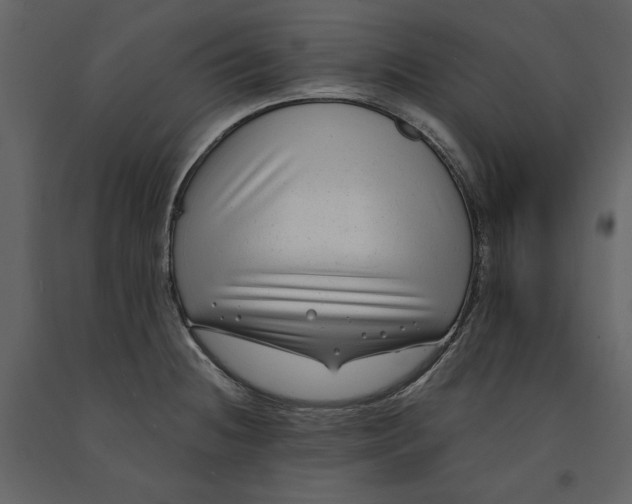 X0000091061236200708271149