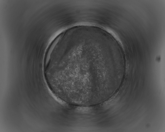 X0000091061237200708271149
