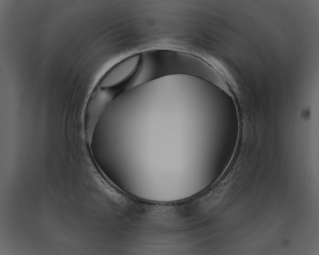 X0000091061238200708271149