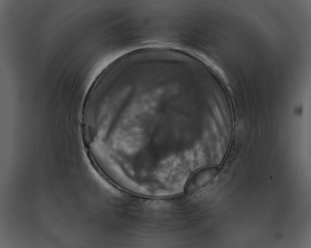 X0000091061239200708271149