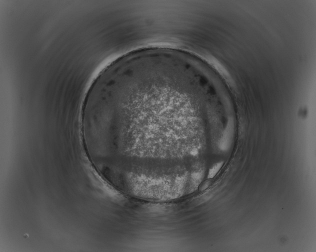X0000091061240200708271149