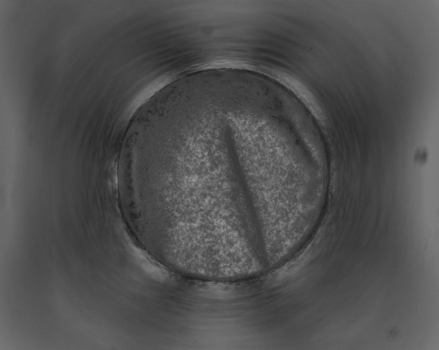 X0000091061241200708271149