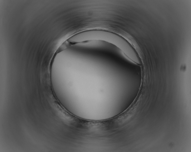 X0000091061242200708271149
