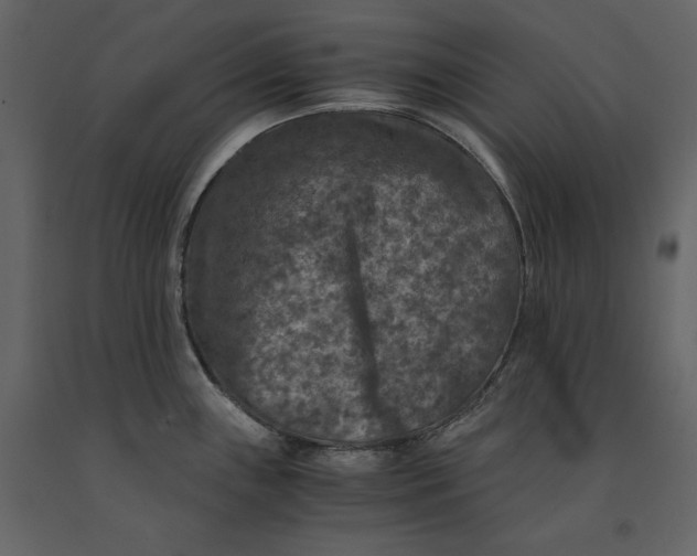 X0000091061243200708271149