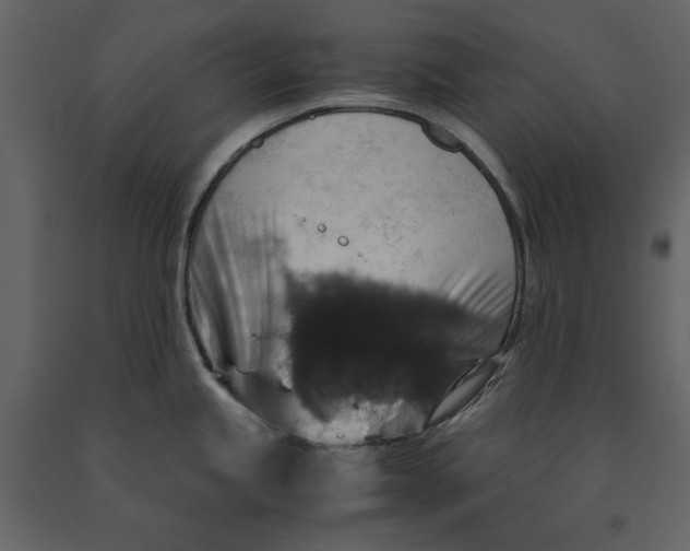 X0000091061245200708271149