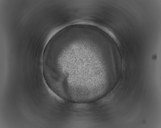 X0000091061247200708271149