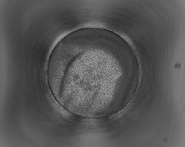 X0000091061248200708271149