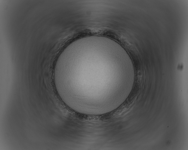 X0000091061249200708271149