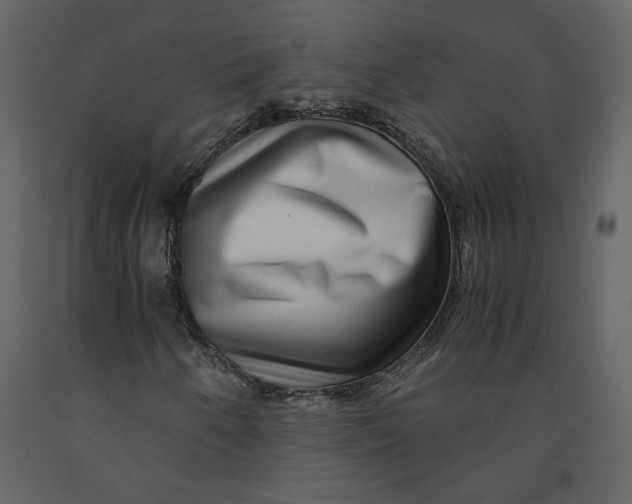 X0000091061250200708271149